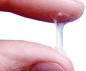 He aha te ahua o te muna o te tangata